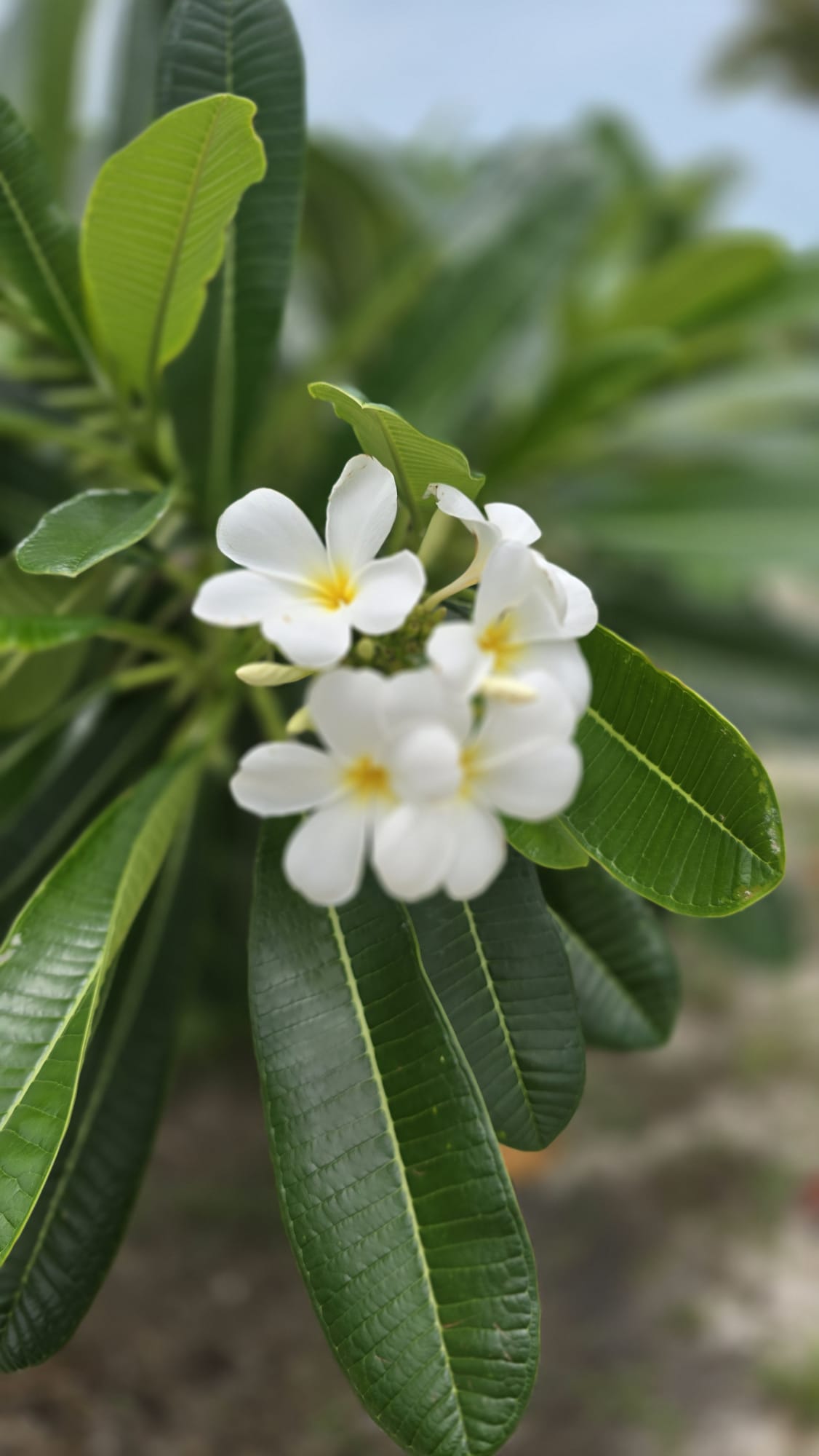 test2